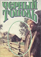 Черный тополь