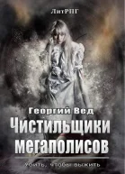 Чистильщики мегаполисов СИ