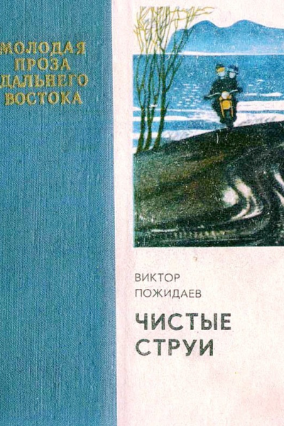 Чистые струи
