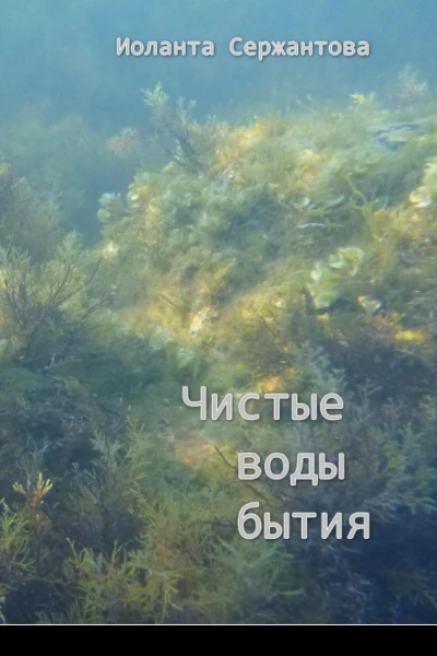 Чистые воды бытия