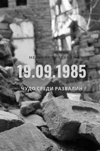 Чудо среди развалин