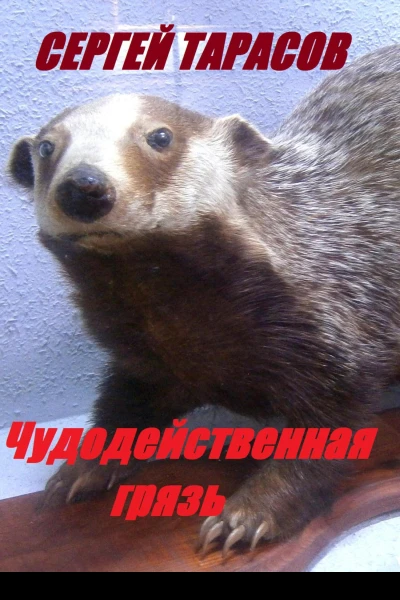 Чудодейственная грязь