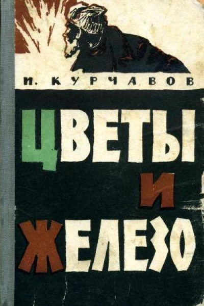 Цветы и железо Роман