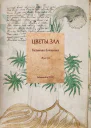 Цветы зла Безумная ботаника 18941911