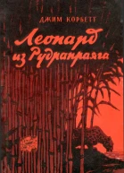 Д Корбетт Леопард из Рудрапраяга