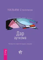 Дар аутизма Раскрытие секретов мудрых сердцем