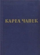 Дашенька или история щенячьей жизни
