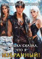 Дедушка сказал что я избранный Книга 2 СИ