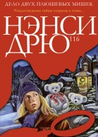 Дело двух плюшевых мишек