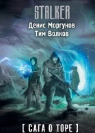 Денис Моргунов Тим Волков Сага о Торе Черный ветер