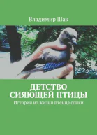 Детство сияющей птицы Истории из жизни птенца сойки