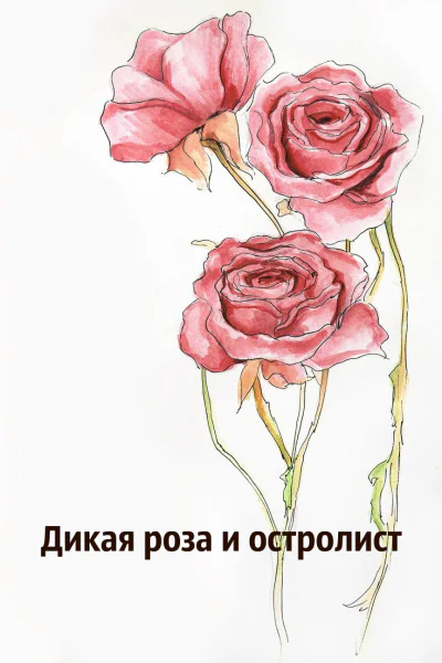 Дикая роза и остролист ЛП