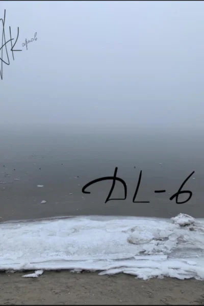DL6