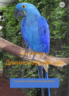 Длиннохвостый ара Кухонносоциальная дрррама