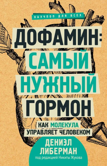 Дофамин самый нужный гормон Как молекула управляет человеком