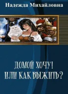 Домой хочу или Как выжить СИ