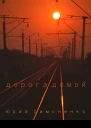 Дорога домой