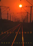 Дорога домой