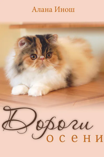 Дороги осени
