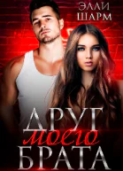 Друг моего брата