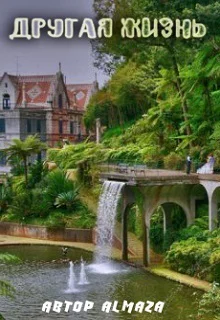 Другая жизнь СИ