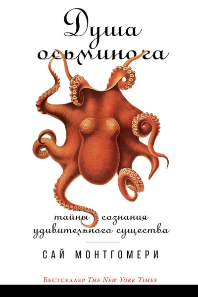 Душа осьминога Тайны сознания удивительного существа