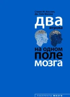 Два игрока на одном поле мозга