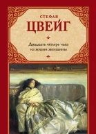 Двадцать четыре часа из жизни женщины  сборник  перевод с немецкого  Цвейг Стефан   Издательство    ISBN