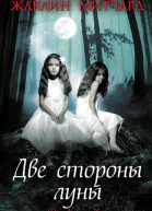 Две стороны луны