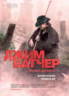 Джим Батчер Архивы Дрездена История призрака Холодные дни