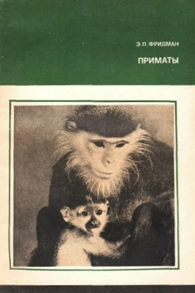 Э Фридман Приматы
