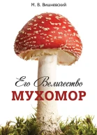 Его величество Мухомор