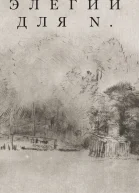 Элегии для N