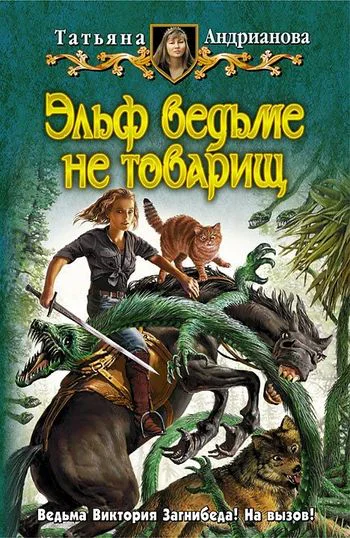 Эльф ведьме не товарищ Фантастический роман