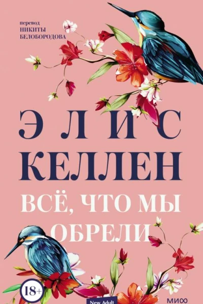 Элис Келлен Всё что мы обрели