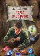 Емец Дмитрий Александрович Череп со стрелой  роман