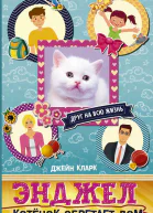 Энджел Котёнок обретает дом