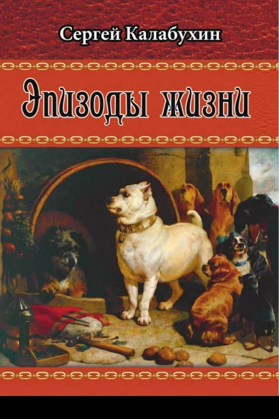 Эпизоды жизни