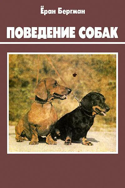 Ёран Бергман Поведение собак