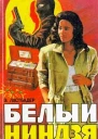 Эрик Ластбадер Белый ниндзя