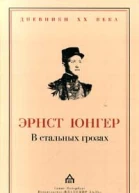 Эрнст Юнгер В стальных грозах