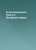 Естествознатель Книга 3 Янтарная гавань
