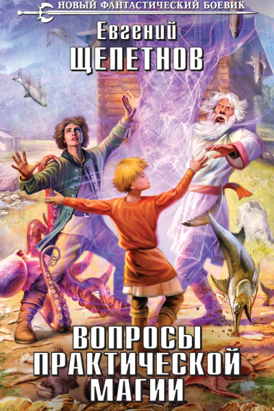 Евгений Щепетнов Вопросы практической магии