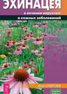 Эхинацея в лечении вирусных и кожных заболеваний