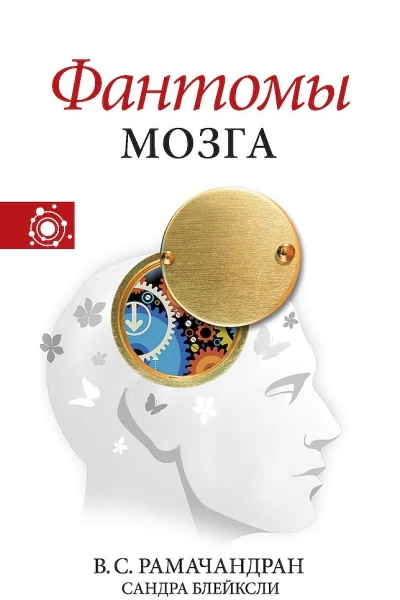 Фантомы мозга
