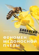 Феномен медоносной пчелы Биология суперорганизма