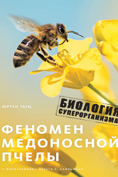 Феномен медоносной пчелы Биология суперорганизма