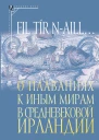 Fil tír naill О плаваниях к иным мирам в средневековой Ирландии Исследования и тексты