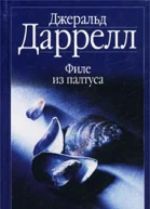 Филе из палтуса илл