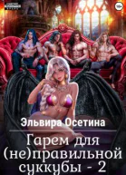 Гарем для не правильной суккубы  2
